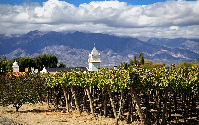 Argentina - Our Guide to the Country's Best Wine Regions